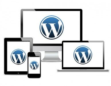 Wordpress website design class