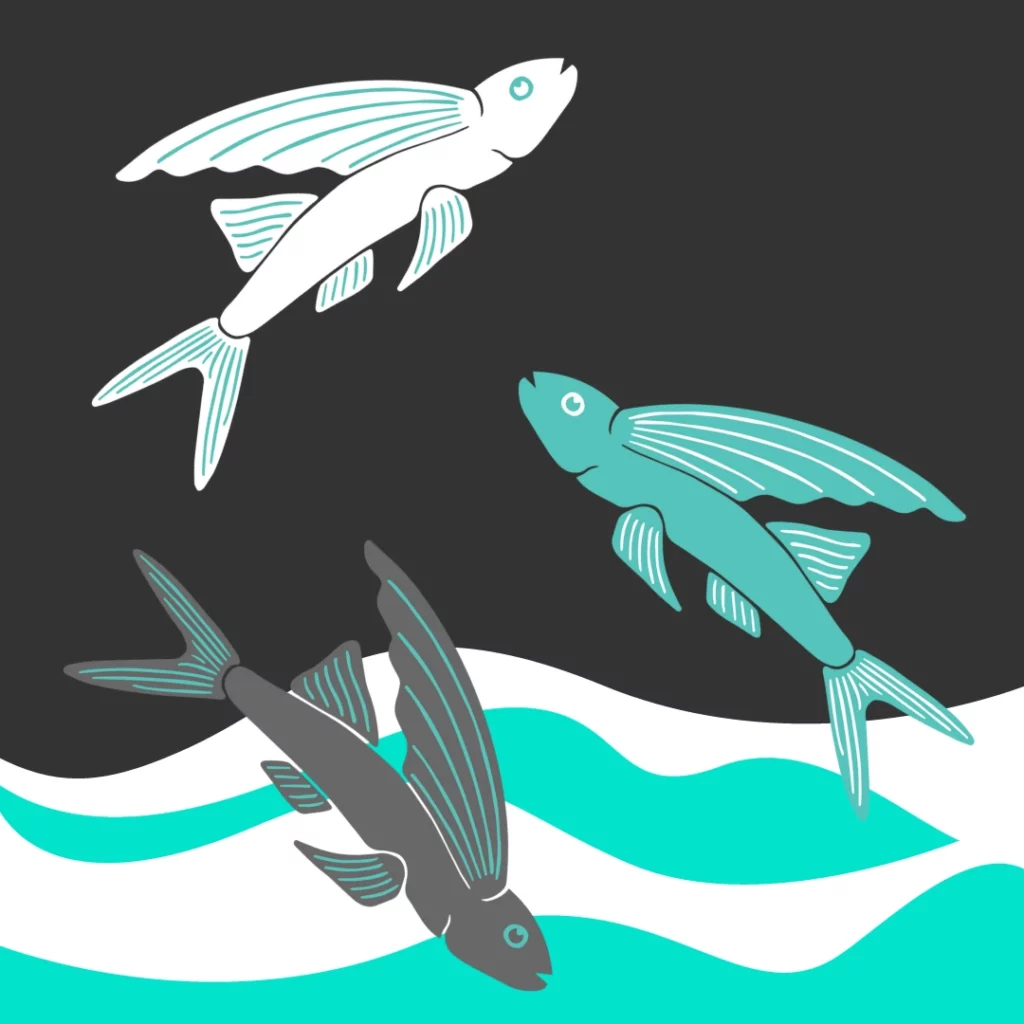 Graphic of three flying fish diving deep to fly high