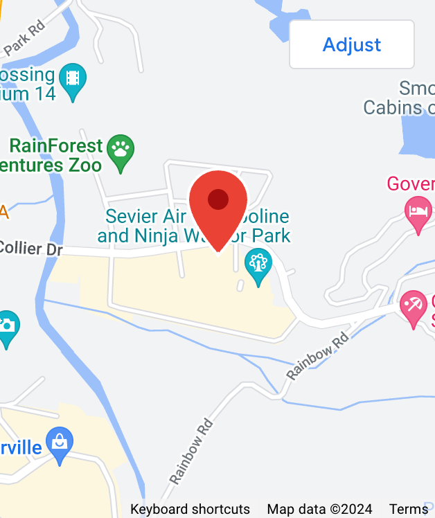 Google Maps pin